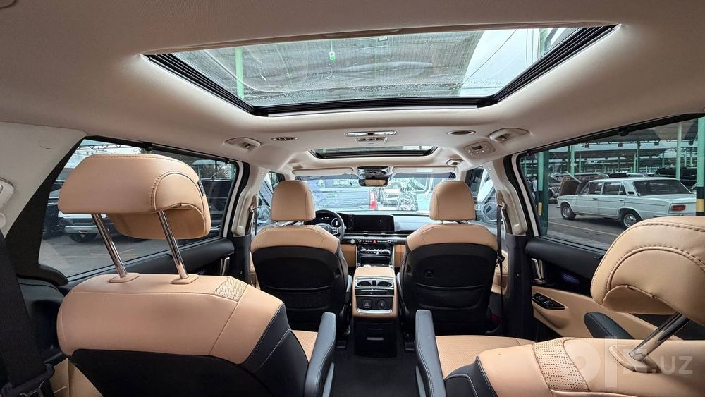 Kia carnival Korea