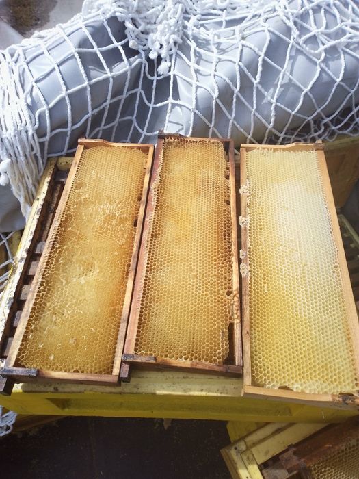 Рамки для пчеловодства