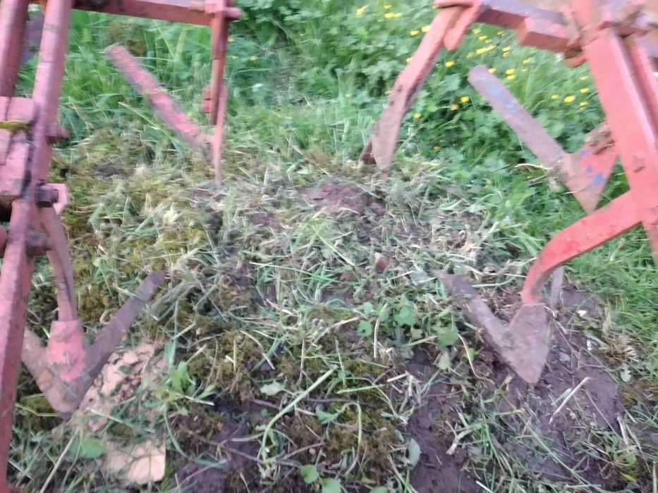 vanzare prasitor porumb sau cartofi pe 3 randuri