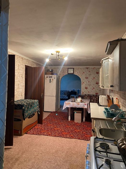 Дом дача Надежда  илиски район