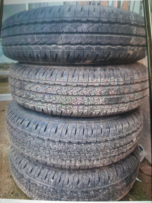 Дамас  родной балон