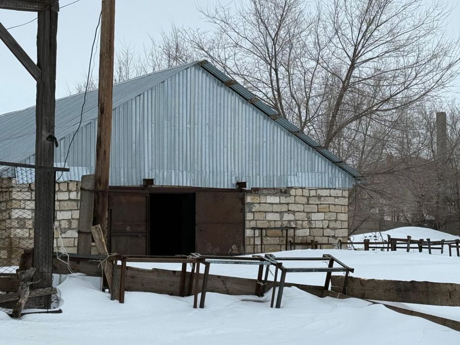 Продам крестьянское хозяйство