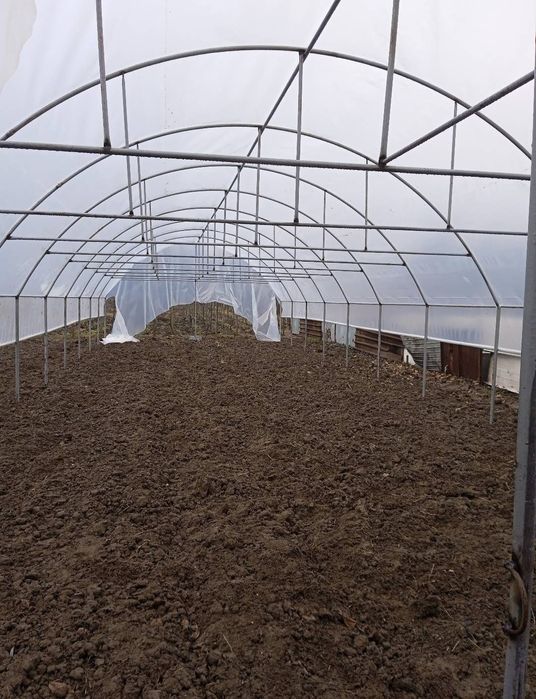 Sere si solare pentru gradina ta