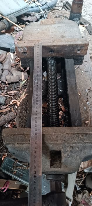 Тисы советские большие