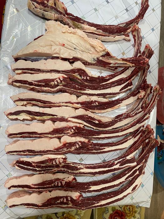 Согым сатылады семиз донен мал