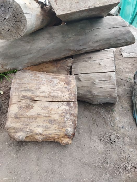 Қарағаштың кесілген шөркелер сатылады,