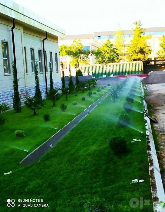 Ruloniy gazon lanshaft dizayin