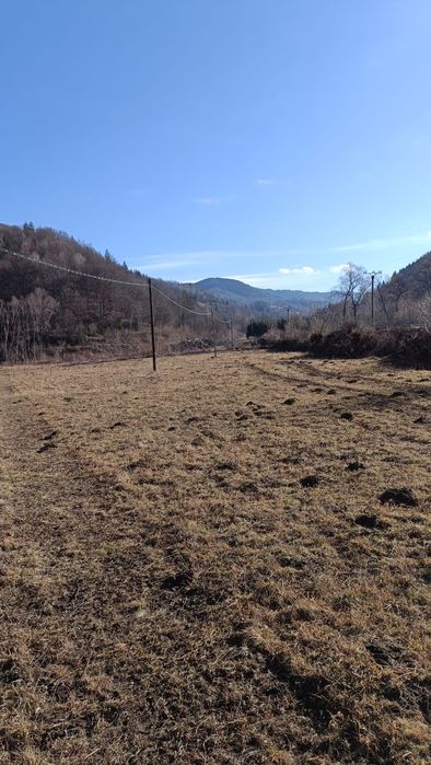 Teren sat Bradu com.Grinties Jud. Neamt