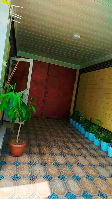 Dacha sijjakda joylashkan