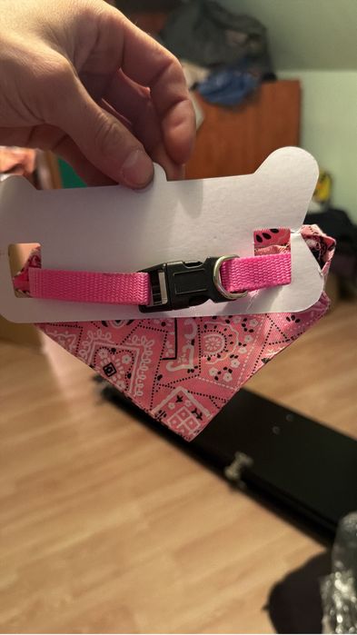 Hainute catei diferite modele si alte accesorii