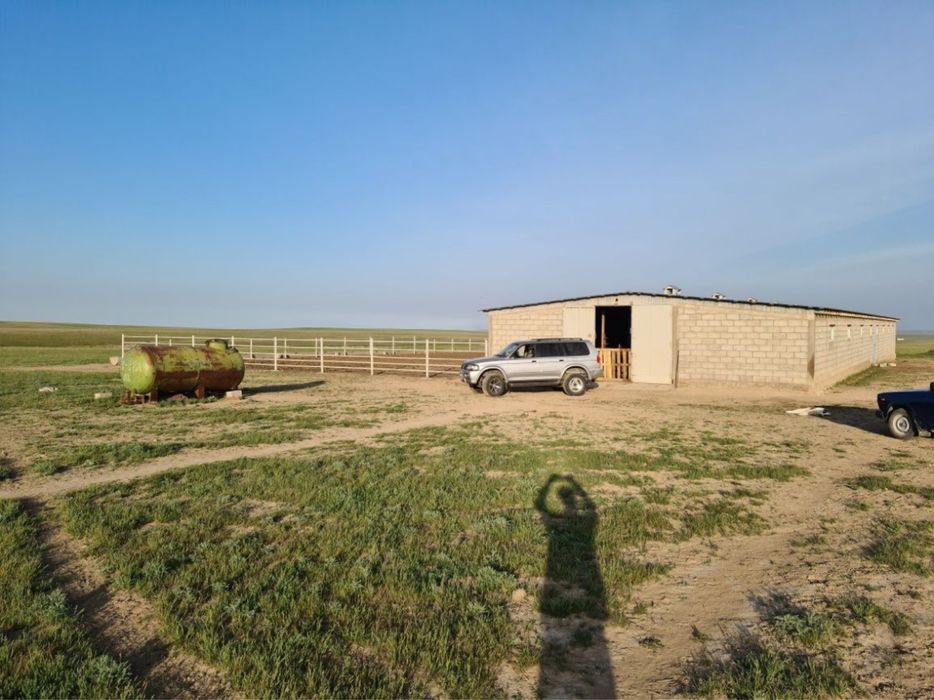 Крестьянское хозяйство