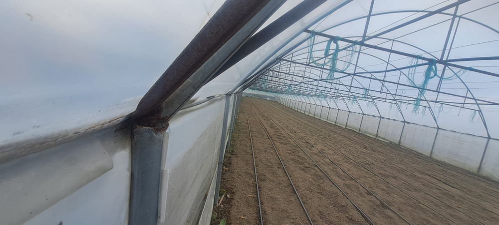 Solare de gradina profesionale 1000 m2