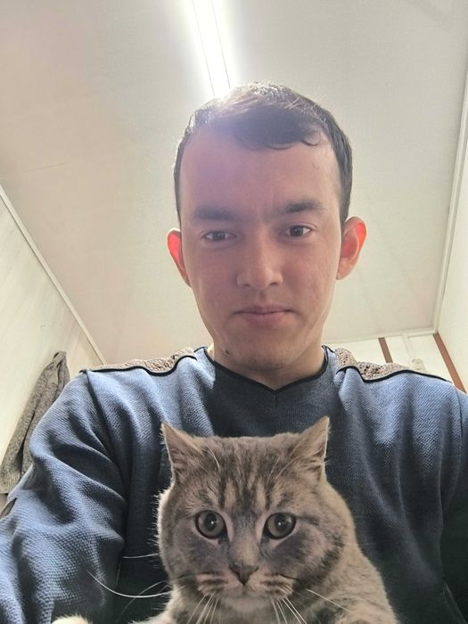 Продам кошка. Очень хорошая