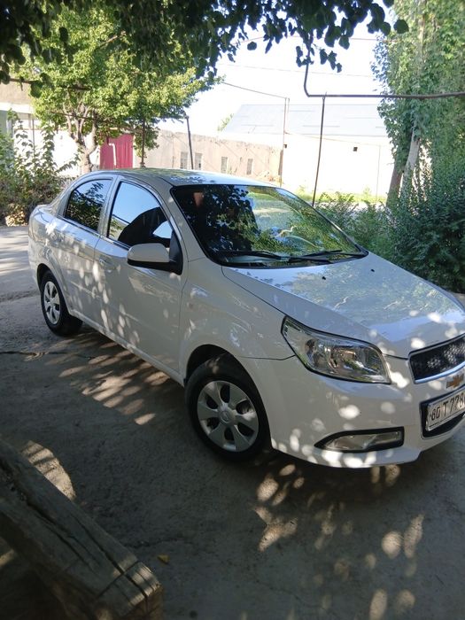 2018 -yil nexia 3