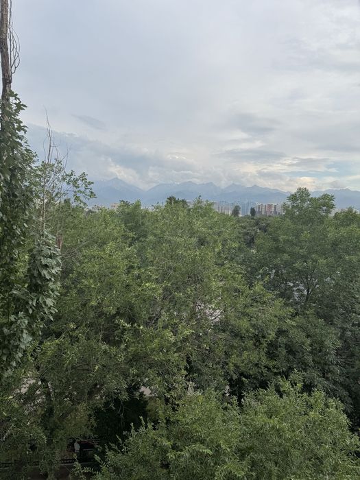 Сдам в аренду квартиру