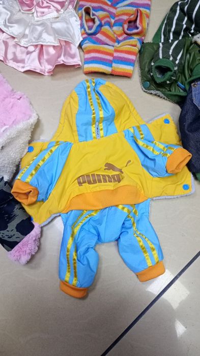 Одежда для маленьких собак. В отличном состоянии. Недорого