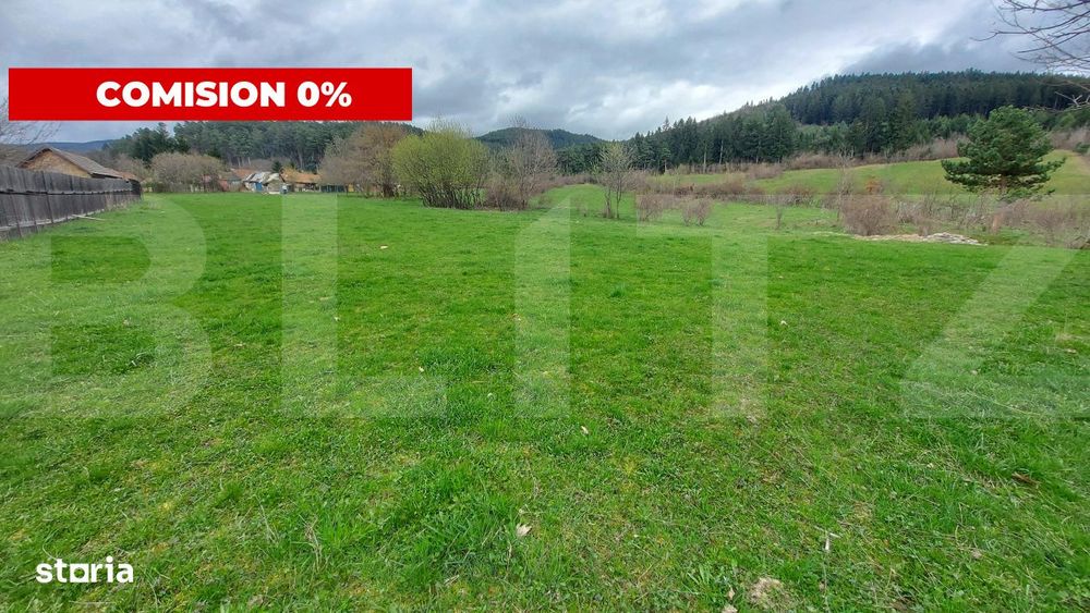 Teren intravilan 4.655 mp in Covasna – zona linistita, vedere la pad