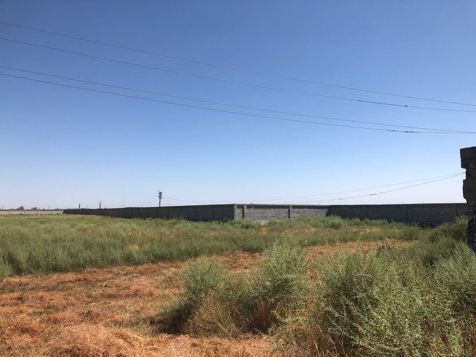 Tayyor ferma sotiladi