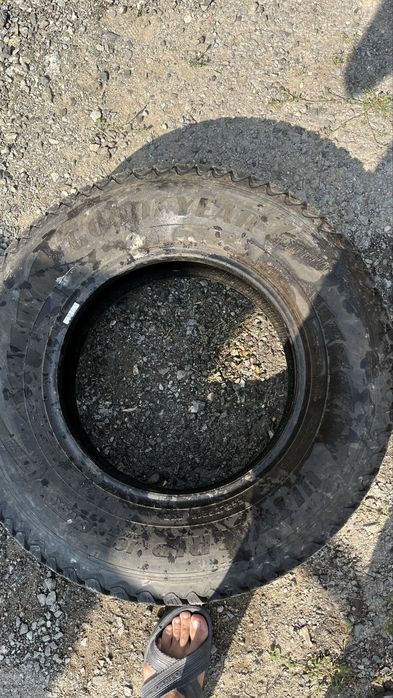 Покрышки  лето-зима