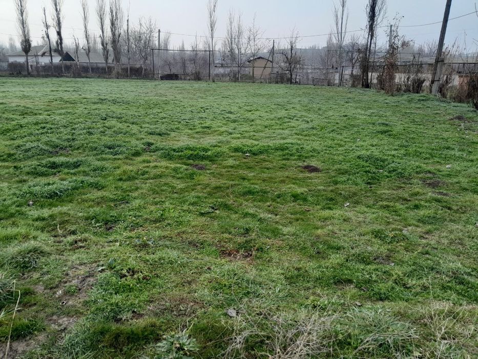 Yer uchaska dom земля дом участка курсой