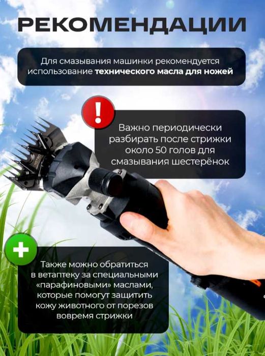 Машинка для стрижки овец и баранов