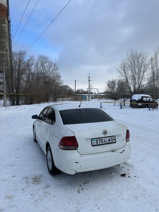 Поло и акцент  в аренду