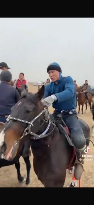 Көпкар аты сатылады