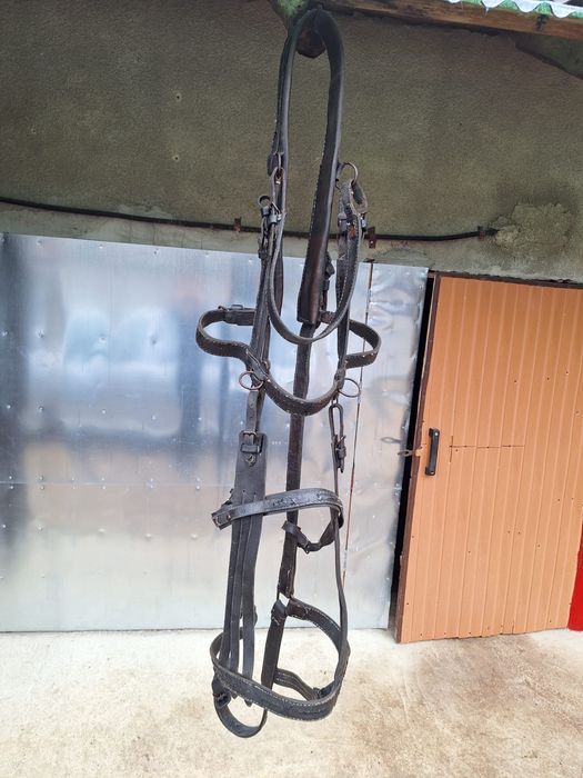 Vand caruta si ham cai