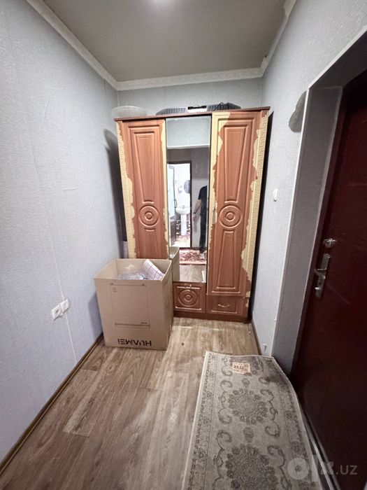 Алгоритм 31 кв 1*2/1/9 узок муддатга