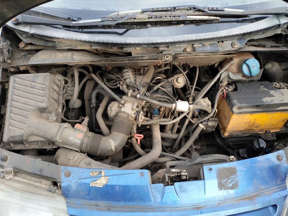 Продам Шаран 1995г