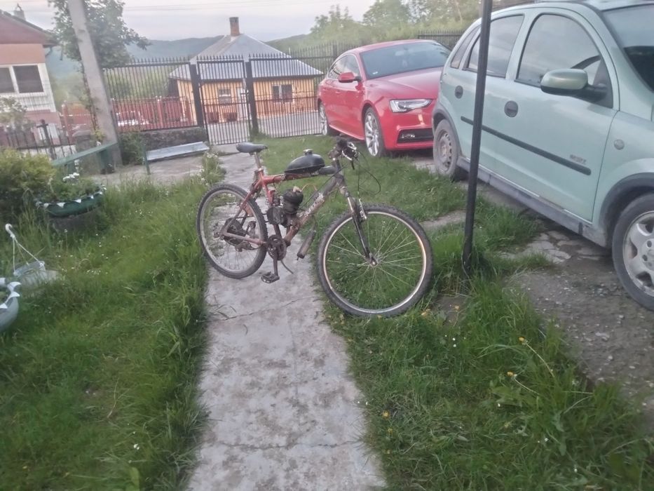 Bicicleta cu motor 100 cc