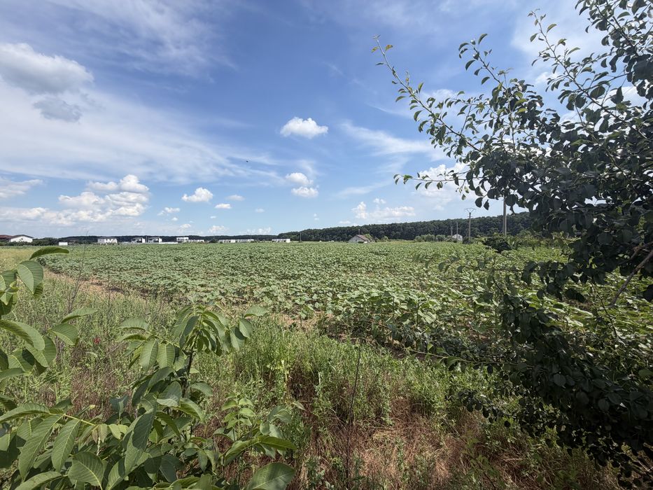 Teren Snagov Ghermanesti Ciofliceni