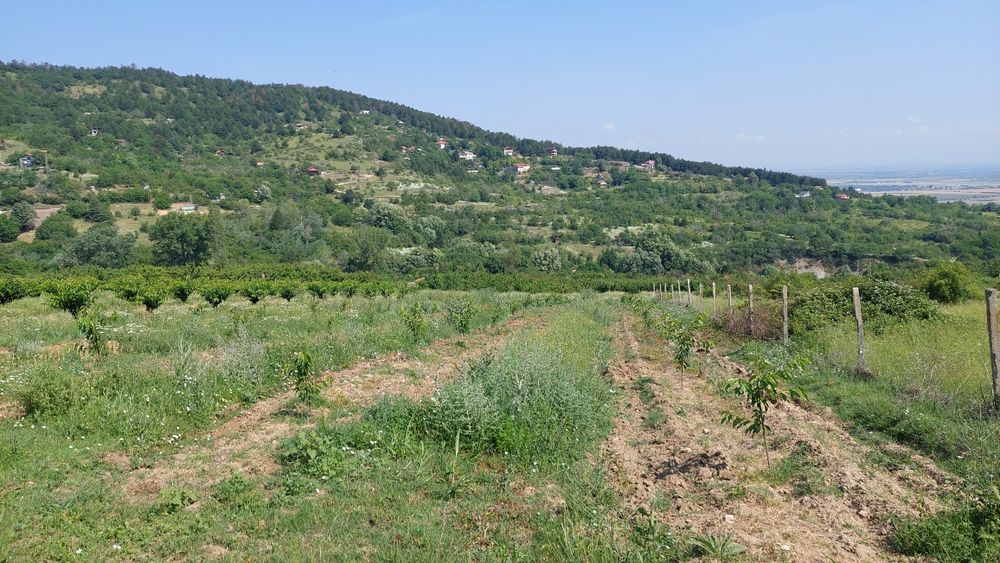 Продава се Земеделски имот в Асеновград -  кв.м за 15300 €/дка - Снимка #2