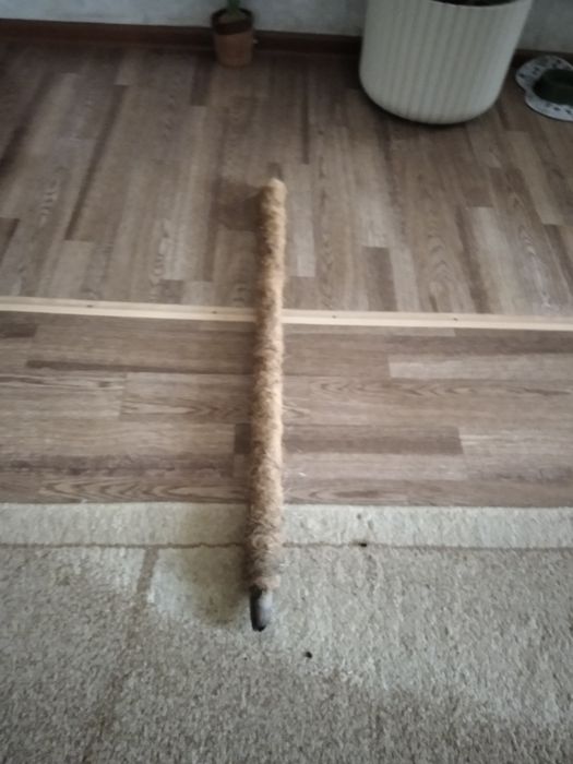 Бамбуковая опора, бутылка для полива растений , держатель для цветов.