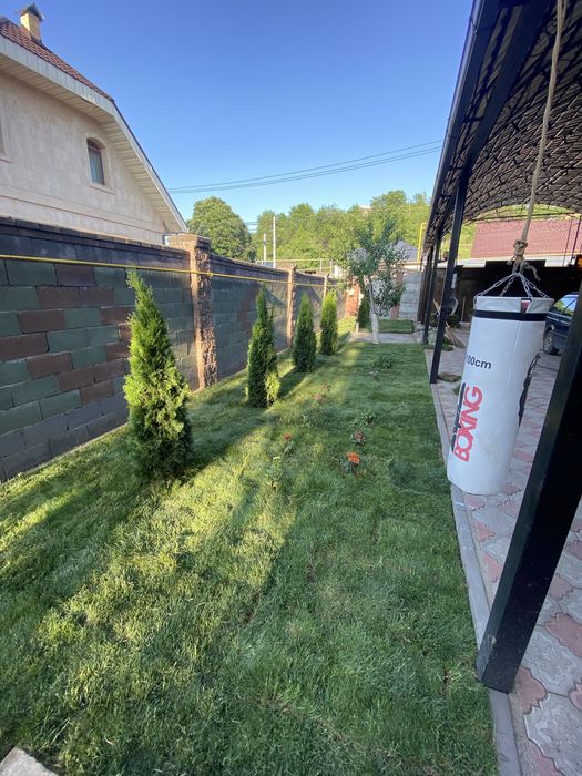 Рулонный газон посев автополив