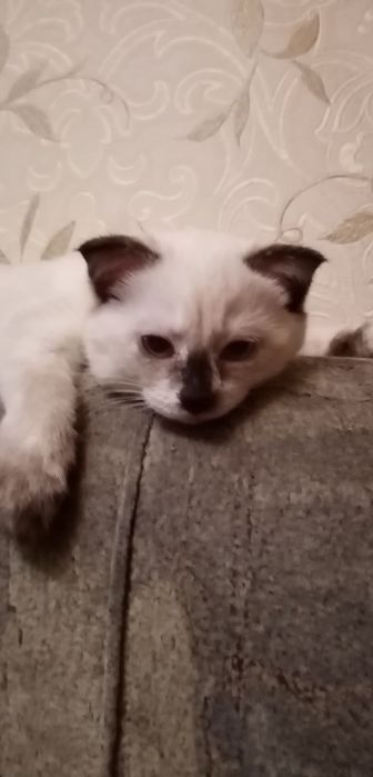 Не серьёзных просьба не беспокоить Девочка и мальчик 3 месяца.