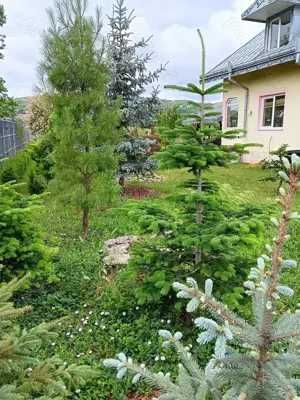 Urgent .Proprietar, parter la casa cu etaj, Mogosesti - Iasi, 10 km