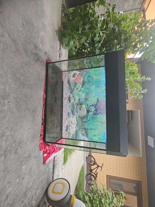 Аквариум для рыб