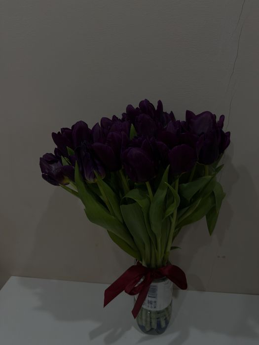 Тюльпан неше шт екенін білмеймін