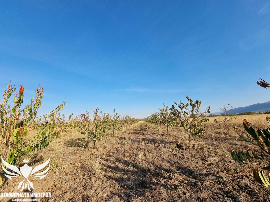 Продава се Земеделски имот в Асеновград -  кв.м за 3009 €/дка - Снимка #8