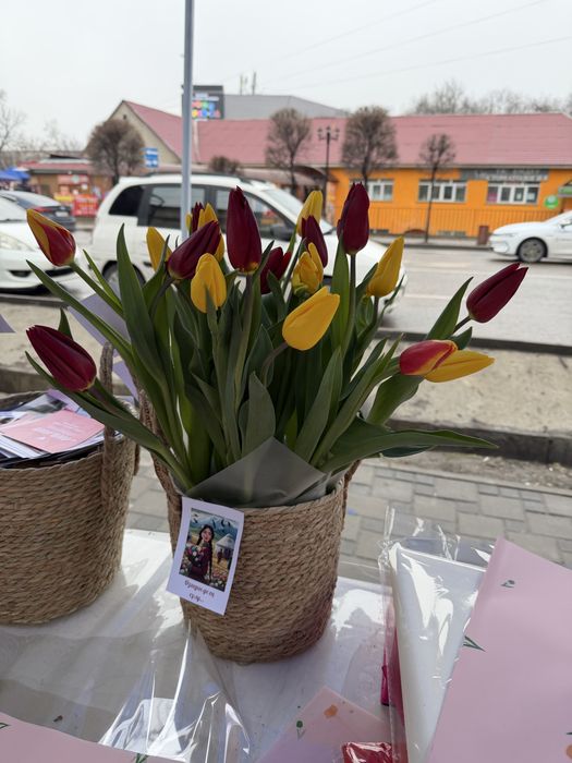 Тюльпан голландские 55-60см