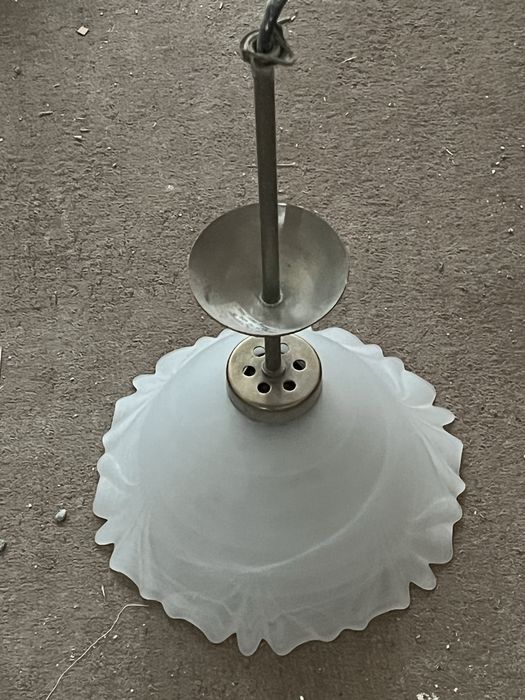 Полилей бял използван