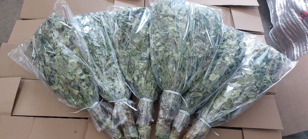 Берёзовые веники