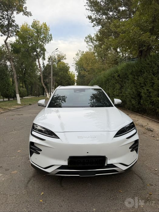 Byd chempion oq 2023