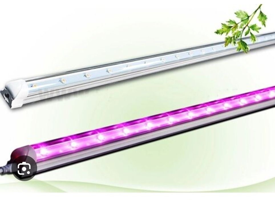 Фитолампа.для рассады.