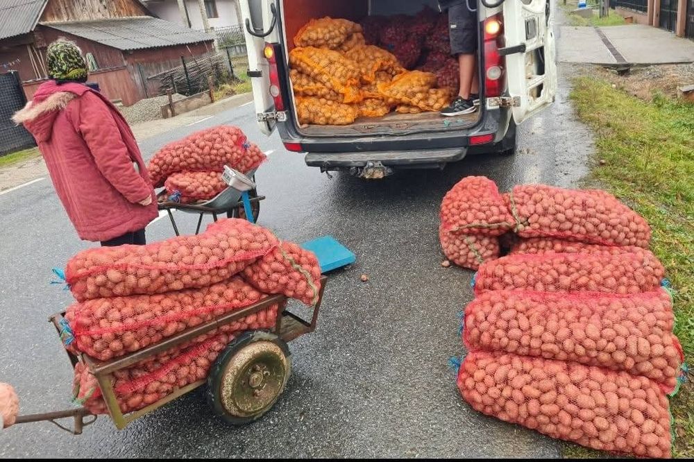 Cartofi pentru animale aducem la Dumneavoastră acasa