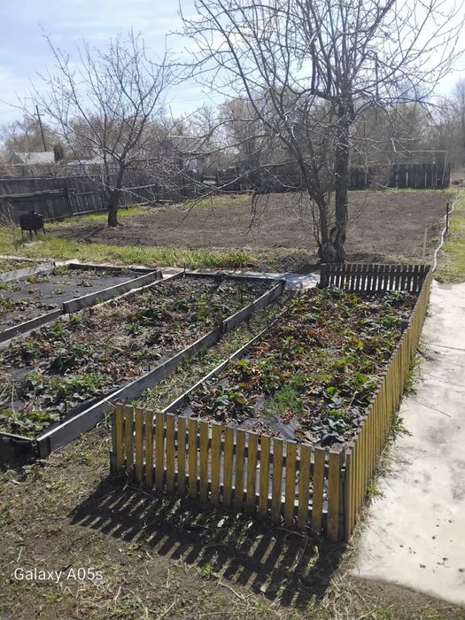 Продам дачный участок