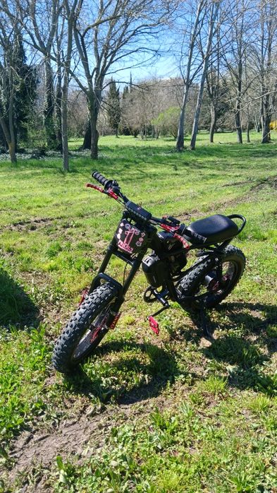 Riding times Z8 ел.велосипед