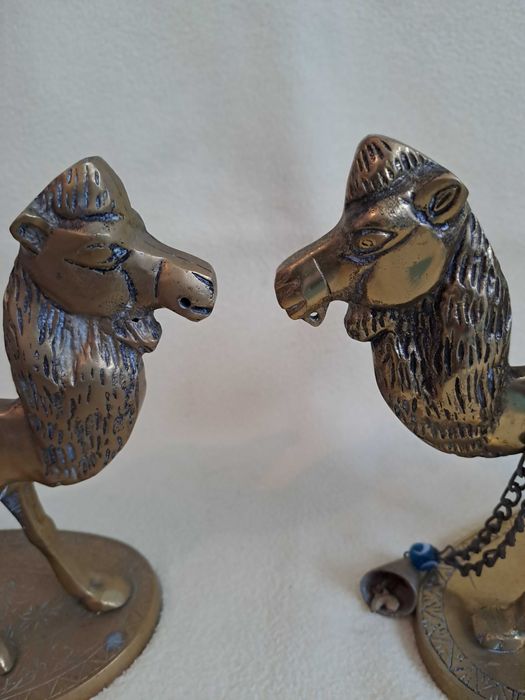 camila bronz 25 cm 1,75 kg