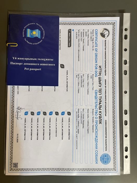 Тазы кушік сатылады